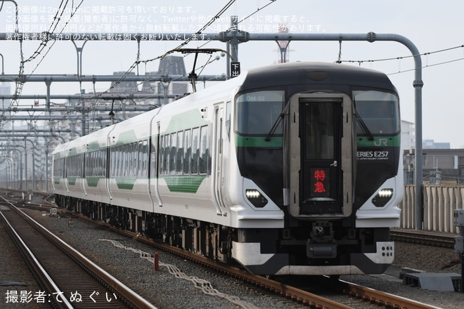 【JR東】「ときめき足利イルミ」を運行を日野駅で撮影した写真