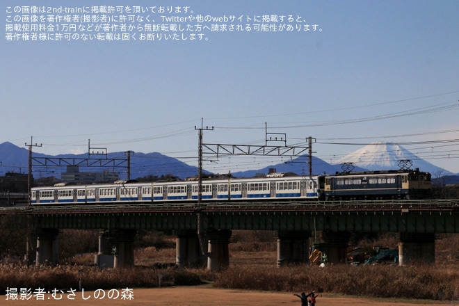 【西武】新101系241F多摩川線・狭山線車両入れ換え甲種(20231217)