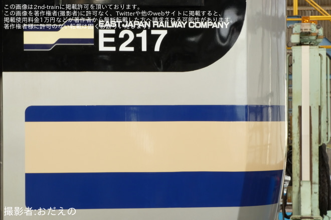 【JR東】E217リバイバルシリーズ 旧カラー撮影会