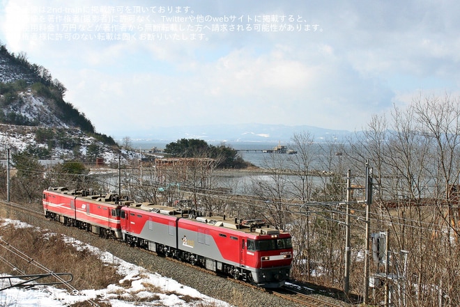 【JR貨】EH800-11が青い森鉄道線を回送