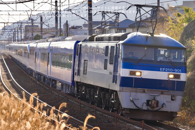 【東武】N100系「スペーシアX」 N103F+N104F甲種輸送を新蒲原～富士川間で撮影した写真