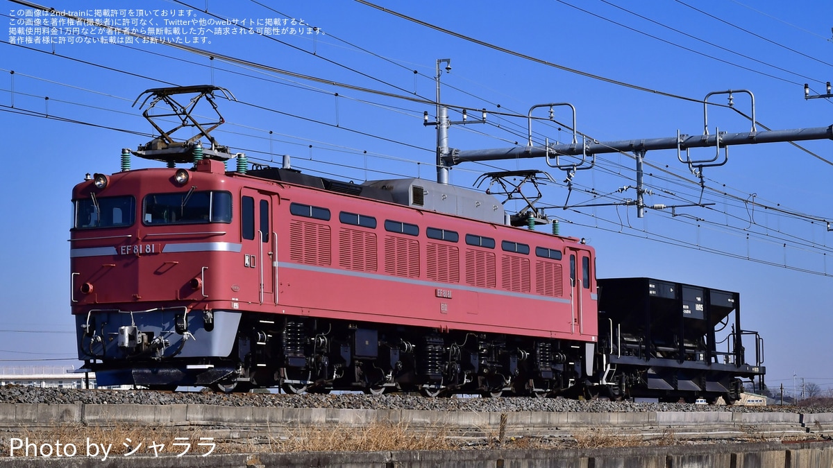 JR東】EF81‐81牽引宇都宮配給(20240214) |2nd-train鉄道ニュース