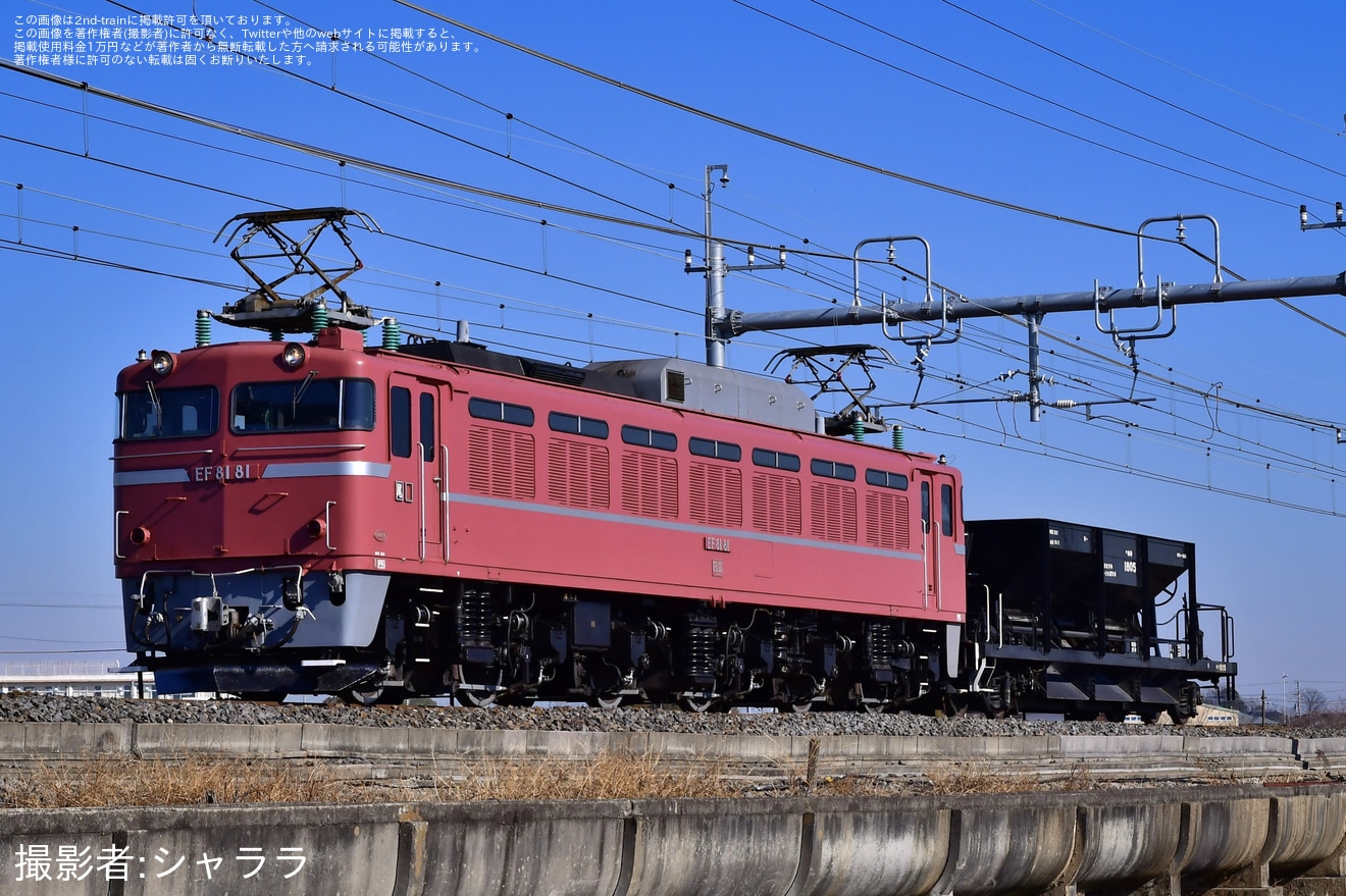 【JR東】EF81‐81牽引宇都宮配給(20240214)の拡大写真