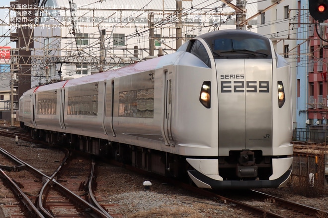 【JR東】E259系Ne016編成が東海道貨物線経由で平塚まで試運転を不明で撮影した写真