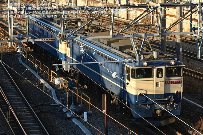 【JR貨】土砂輸送の訓練列車でEF65の重連が運転
