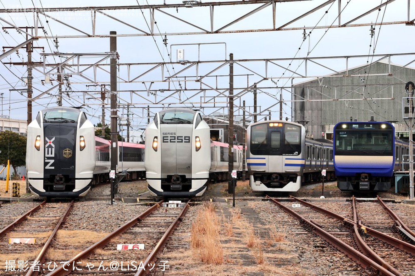 【JR東】「最後の旧デザイン 『マリンエクスプレス踊り子』号で巡る車両センター撮影会ツアー」での鎌倉車両センター本所撮影会の拡大写真