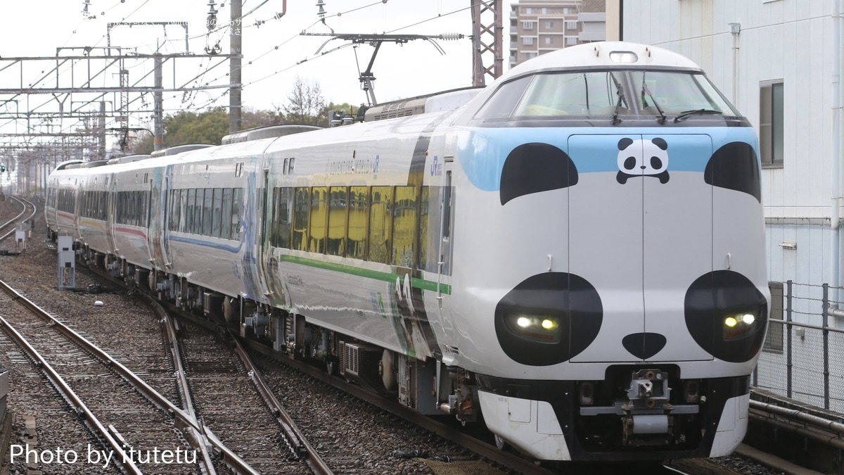 鉄道　スタフ　春臨④ JR West Limited Express 