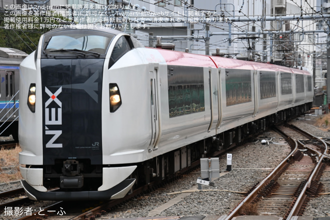 【JR東】E259系Ne022編成 大宮総合車両センター入場(旧塗装消滅)を新宿駅で撮影した写真