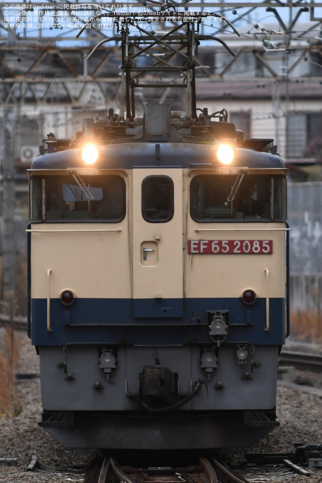 【西武】新101系1241F(伊豆箱根鉄道色)が多摩川線に向けて甲種輸送を不明で撮影した写真
