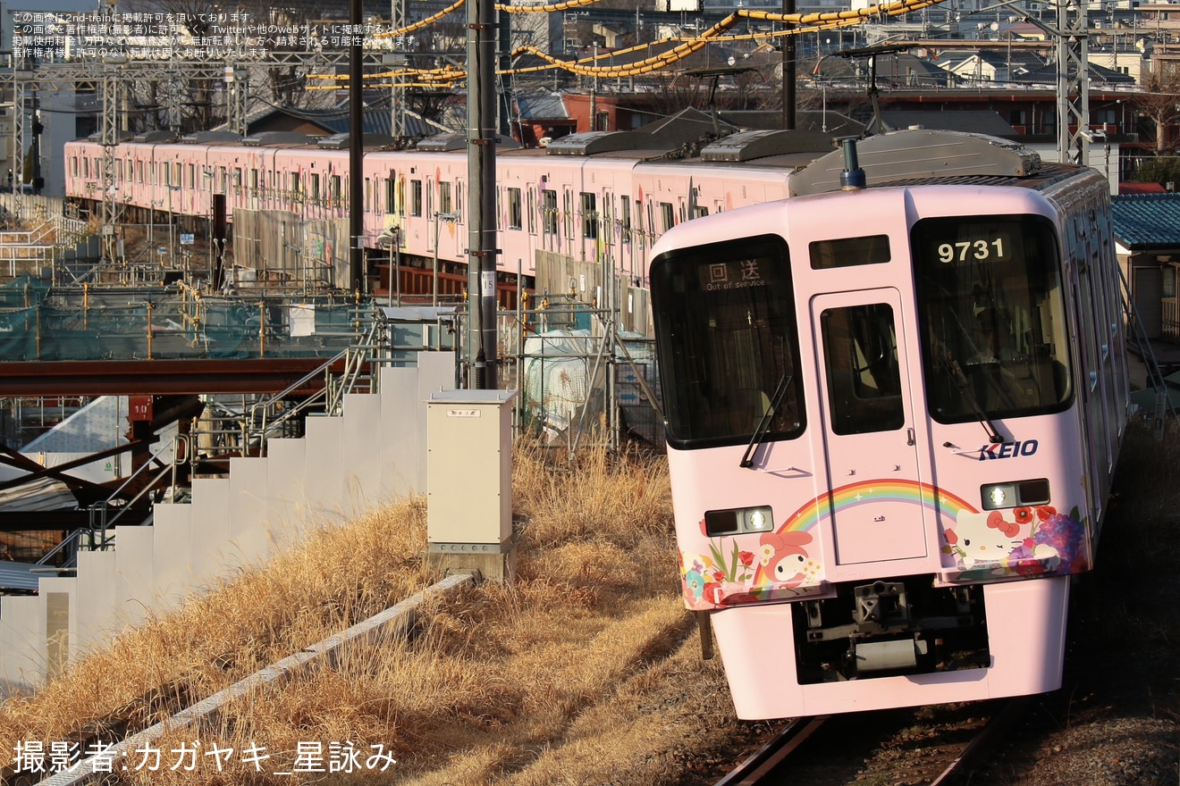 【京王】9000系9731F(サンリオキャラクターフルラッピングトレイン)が動物園線錆び取り回送にの拡大写真