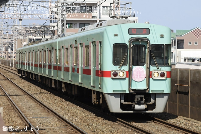 【西鉄】「特別列車『みんなの桜並木号』」が運行を不明で撮影した写真