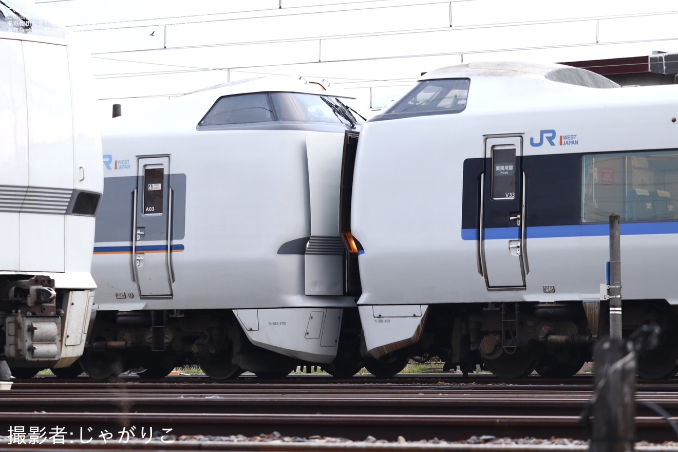 【JR西】683系N13編成が 683系A03編成に変更されていることが確認の拡大写真