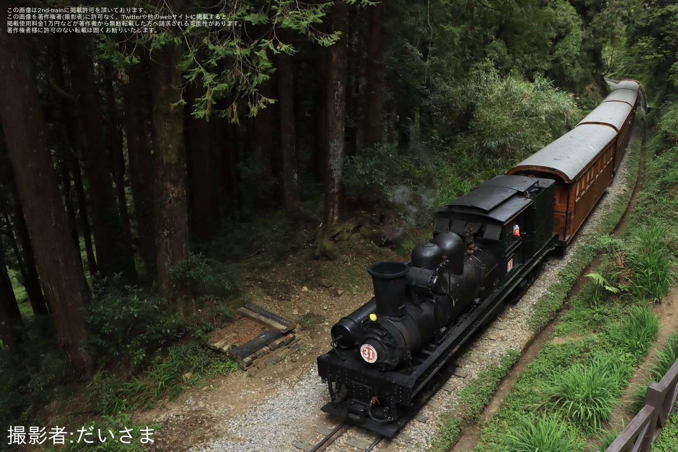【阿里山】SL-31を使用した団体臨時列車が運転の拡大写真