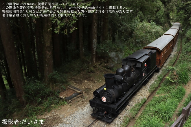 【阿里山】SL-31を使用した団体臨時列車が運転を不明で撮影した写真