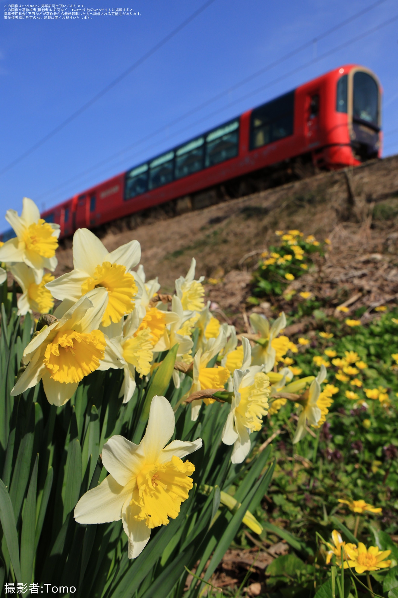 【トキ鉄】「えちごトキめきリゾート雪月花」あいの風とやま鉄道線乗り入れ「越後・越中紀行」ツアーが催行の拡大写真