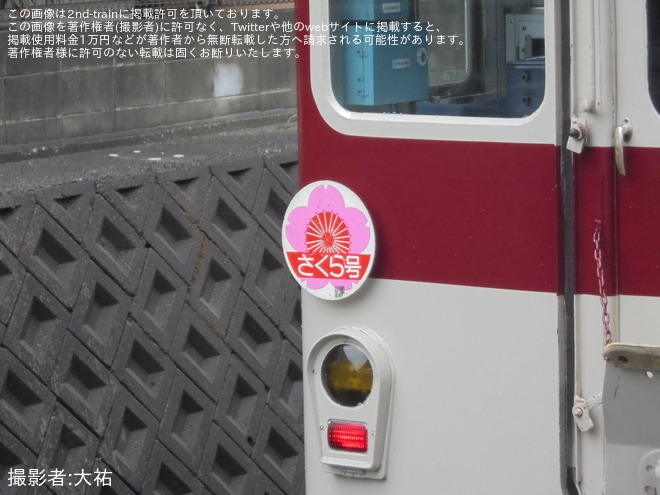 【近鉄】臨時快速急行「さくら号」が運転(2024)を古市駅で撮影した写真