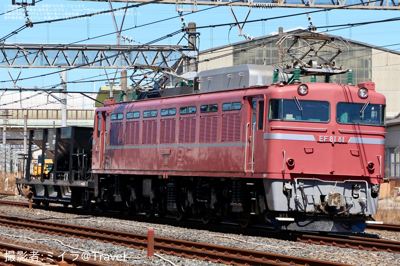 【JR東】EF81‐81牽引宇都宮配給（20240327）の拡大写真