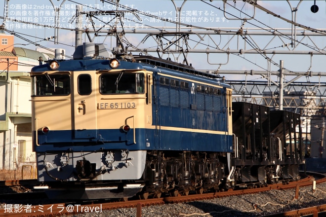 【JR東】EF65-1103牽引 宇都宮配給復路(20240327)を赤羽～浦和間で撮影した写真