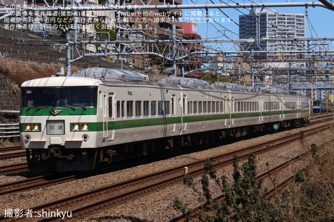 【JR東】「185」が185系C1編成で運転を東神奈川～横浜間で撮影した写真