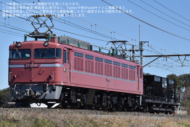【JR東】EF81‐81牽引宇都宮配給（20240327）を蓮田～東大宮間で撮影した写真