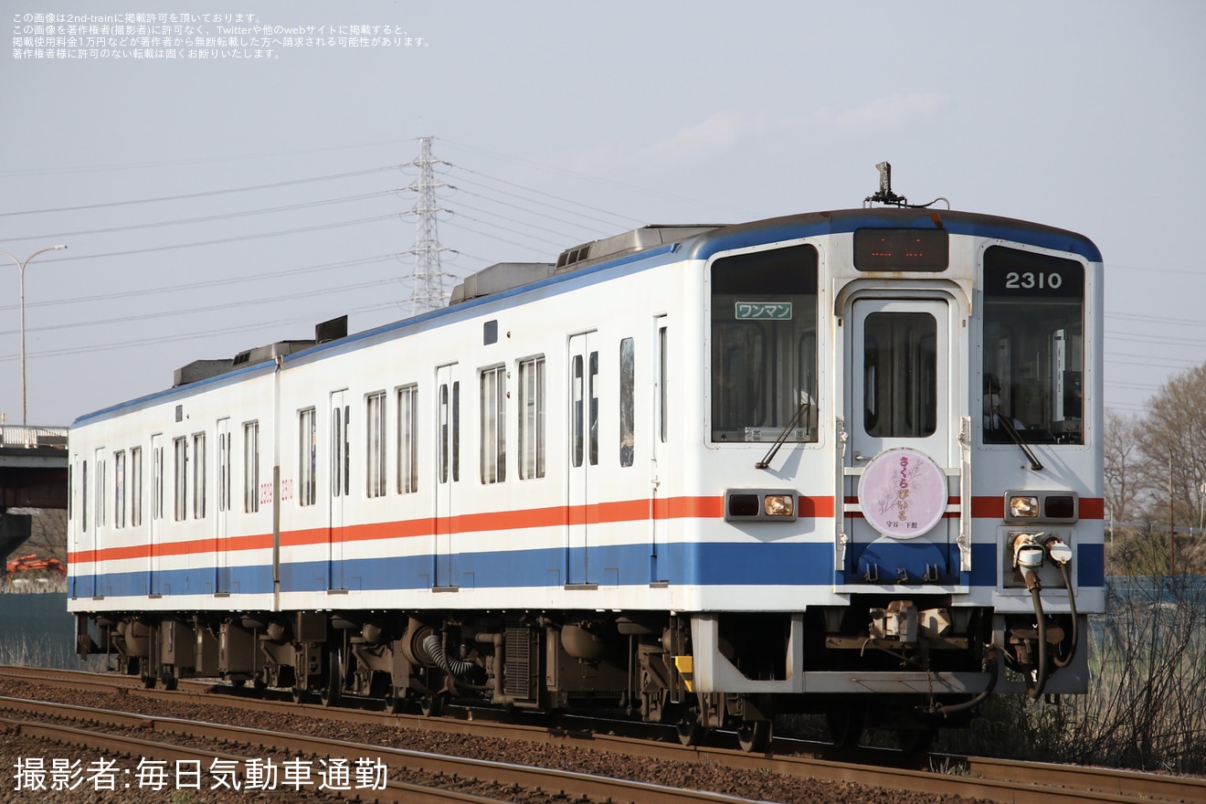 【関鉄】『関鉄「お花見ビール列車」』が運転(2024)の拡大写真
