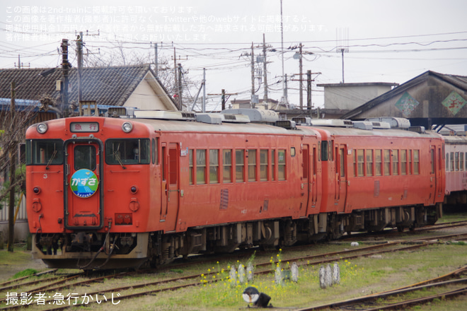 【小湊】緑色の「かずさ」ヘッドマークの「観光急行」は運転を五井駅ホームから五井機関区を撮りましたで撮影した写真