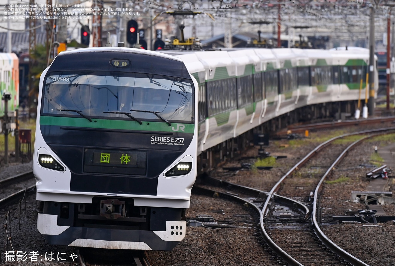 【JR東】E257系貸切列車で行く!レアな中央線 高尾へGO!ダブル貨物線経由特別運行区間の旅の拡大写真