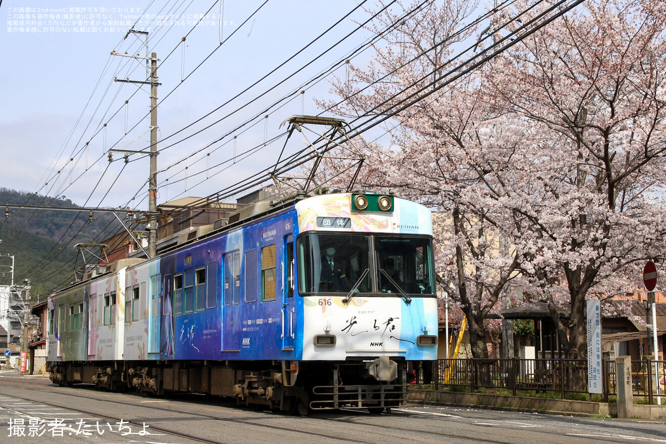 【京阪】大津の京阪電車を愛する会『お花見電車』運転の拡大写真