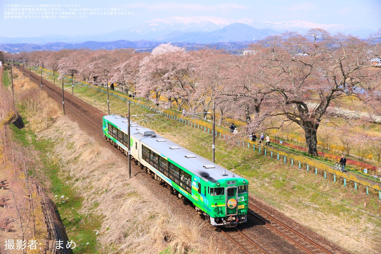 【JR東】「風っこ花めぐり号」が運行の拡大写真