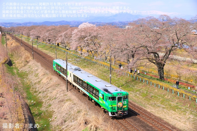【JR東】「風っこ花めぐり号」が運行を不明で撮影した写真