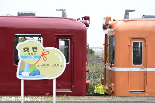 【養老】イベント列車「ようろう号」ツアーを催行を養老駅で撮影した写真