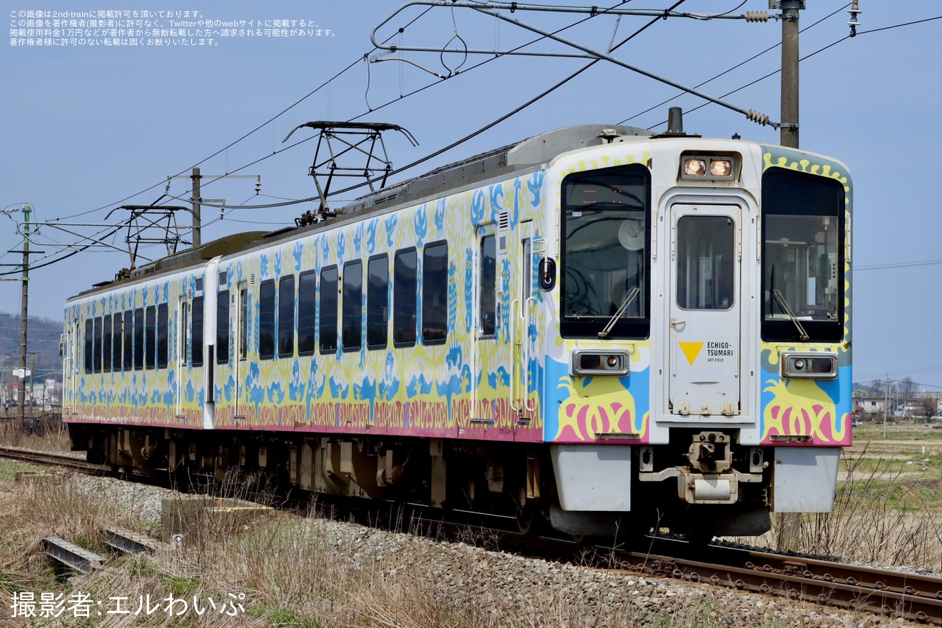 【北越】団体臨時列車「第25回高田観桜号」が運転の拡大写真