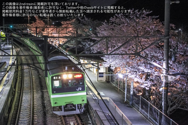 【特集】桜が満開、桜模様の列車の写真を紹介(2024年）を不明で撮影した写真
