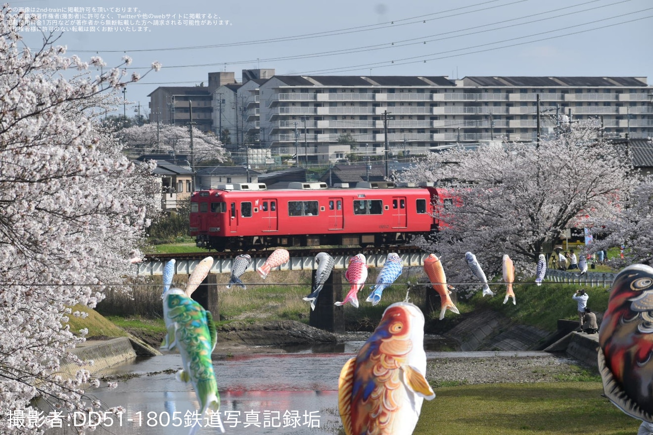 【特集】桜が満開、桜模様の列車の写真を紹介(2024年）の拡大写真