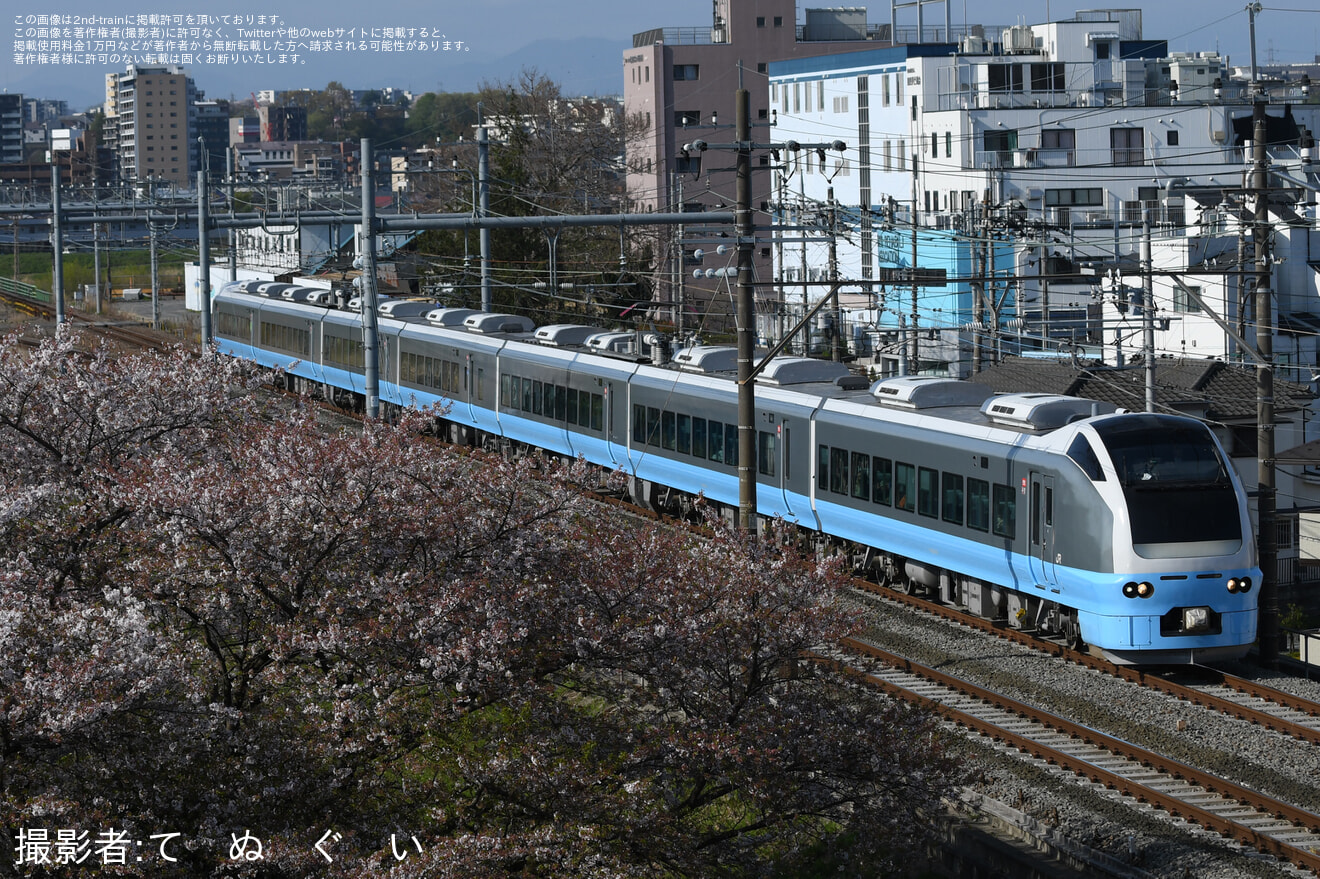 【JR東】臨時特急「絶景ネモフィラ高尾号」が運転の拡大写真