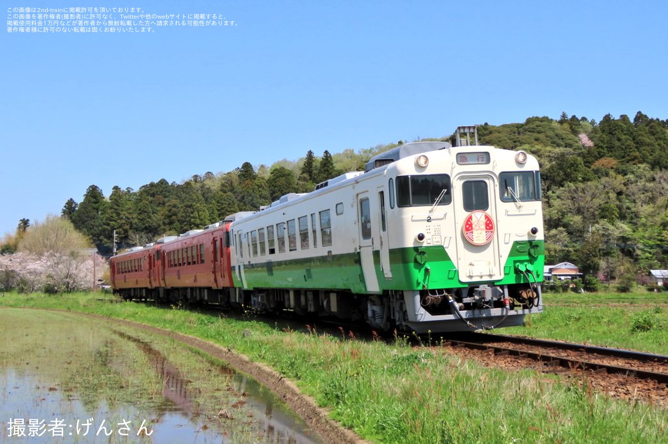 【小湊】観光急行かずさとコラボした市原はたちトロッコ2024が運転の拡大写真