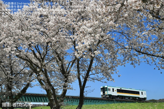 【JR東】キハ110-244が磐越東線で出場試運転を舞木～郡山間で撮影した写真