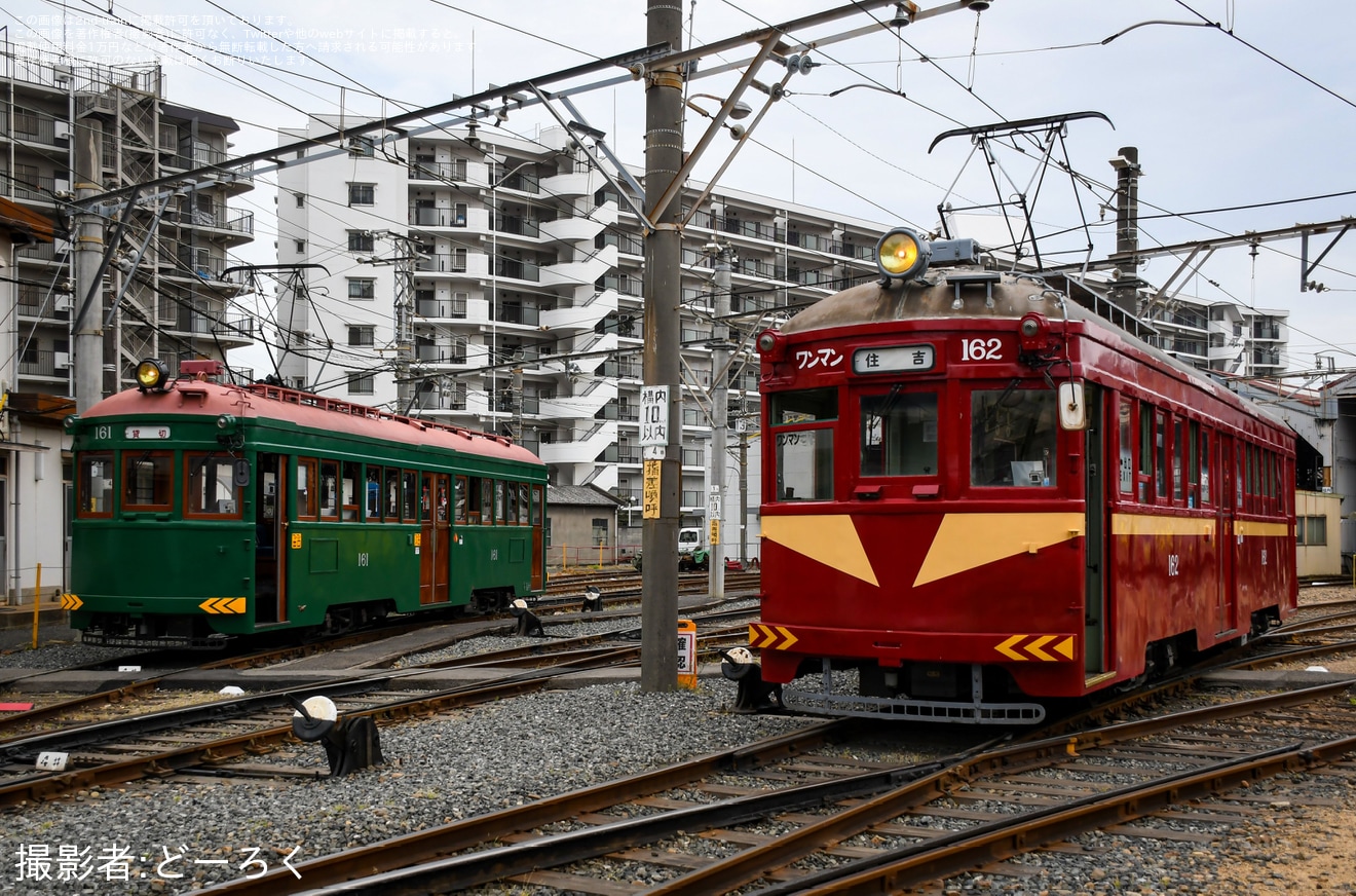 【阪堺】鉄道ファンの有志による貸切列車が阪堺モ161形162号車で運転の拡大写真