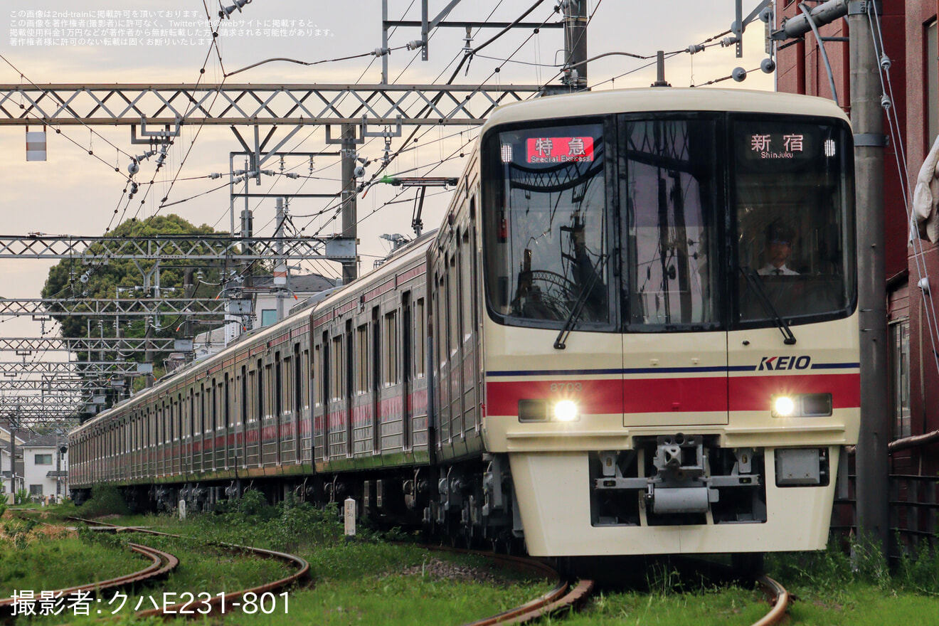 【京王】東京競馬開催に伴う臨時列車を運転の拡大写真