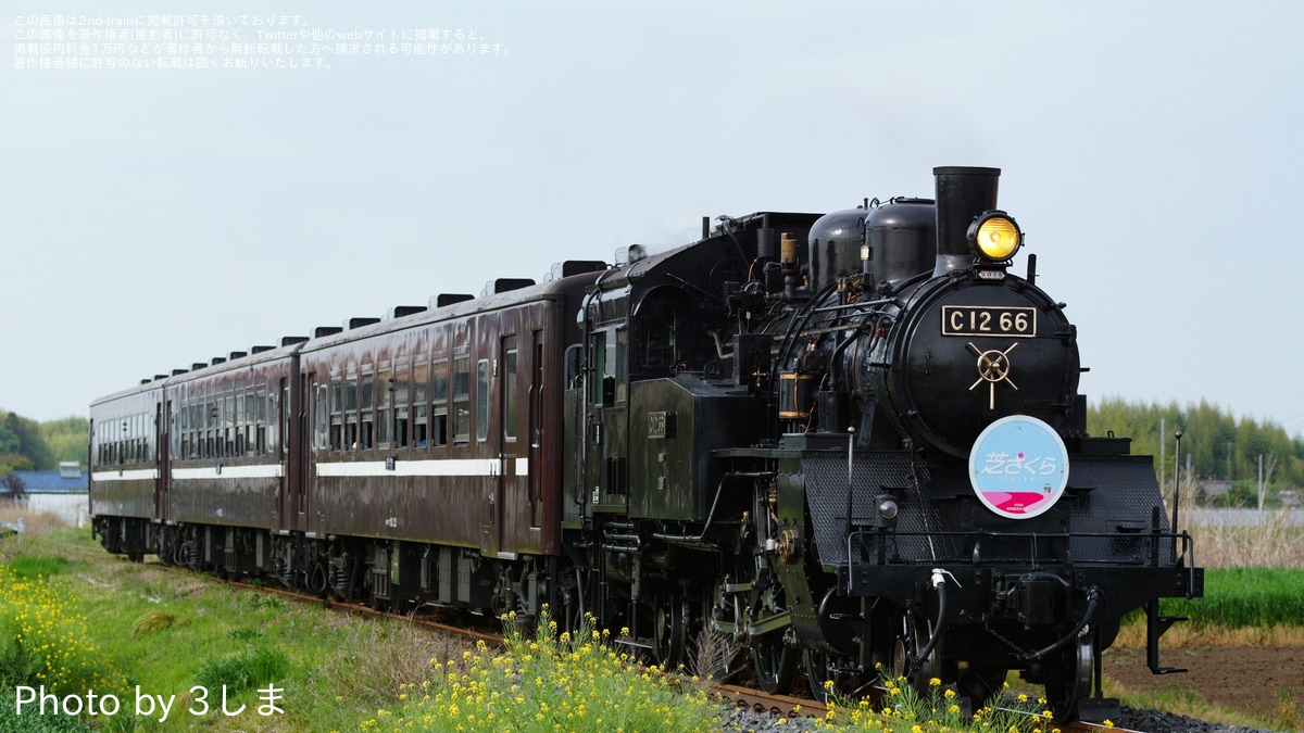 真岡】SLもおか「芝ざくら公園の旅」ヘッドマークを取り付け |2nd-train鉄道ニュース