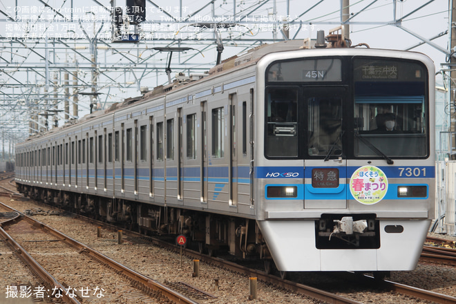 【北総】臨時特急「ほくそう春まつり号」運転(2024)を新鎌ヶ谷駅で撮影した写真
