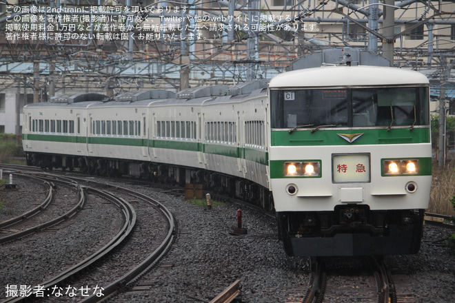 【JR東】185系C1編成使用 臨時特急「185」を大船駅で撮影した写真
