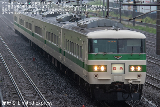 【JR東】185系C1編成使用 臨時特急「185」を戸塚～横浜間で撮影した写真