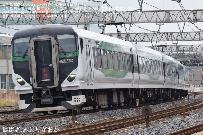 【JR東】「あしかが大藤大船号」を運行を蕨～南浦和間で撮影した写真