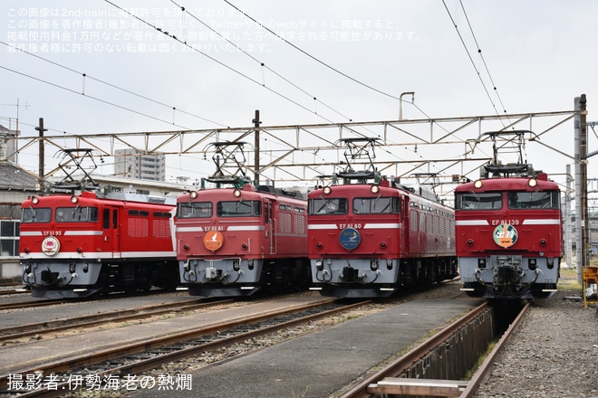 【JR東】尾久車両センター機関車撮影会『EF81形会』が開催