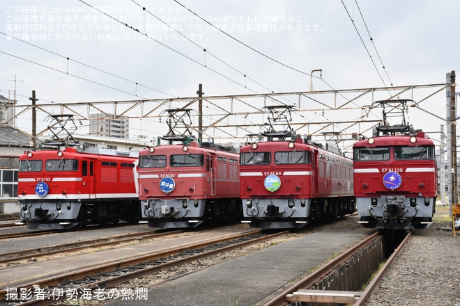 【JR東】尾久車両センター機関車撮影会『EF81形会』が開催