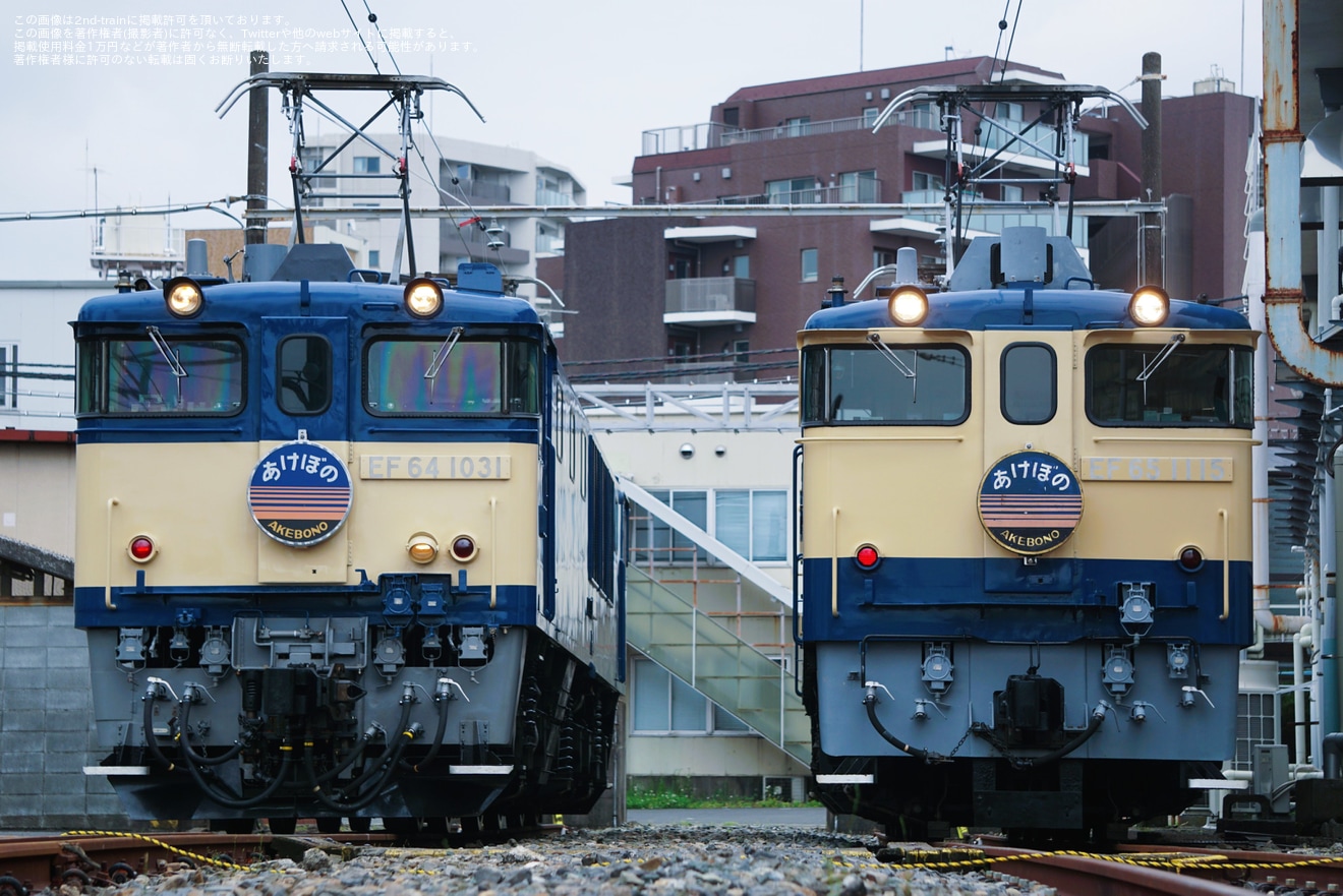 【JR東】尾久車両センター機関車撮影会『EF81形会』が開催の拡大写真