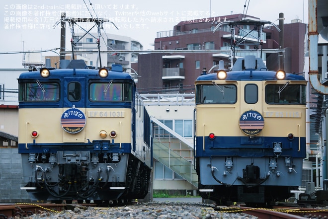 【JR東】尾久車両センター機関車撮影会『EF81形会』が開催を尾久車両センターで撮影した写真