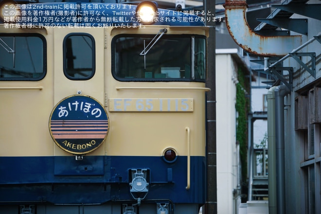【JR東】尾久車両センター機関車撮影会『EF81形会』が開催を尾久車両センターで撮影した写真