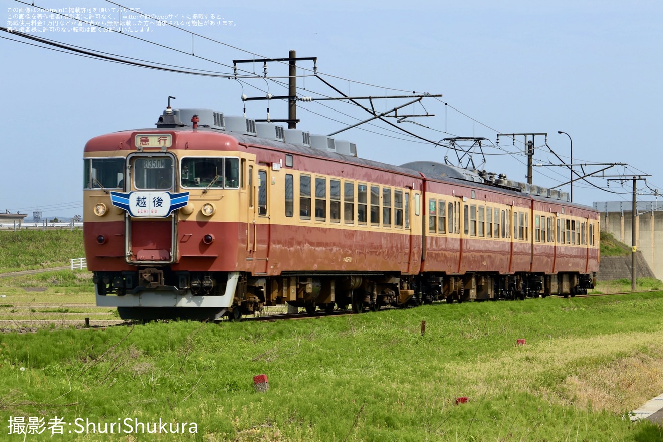 【トキ鉄】455系クハ455-701+413系2両が営業運転復帰の拡大写真